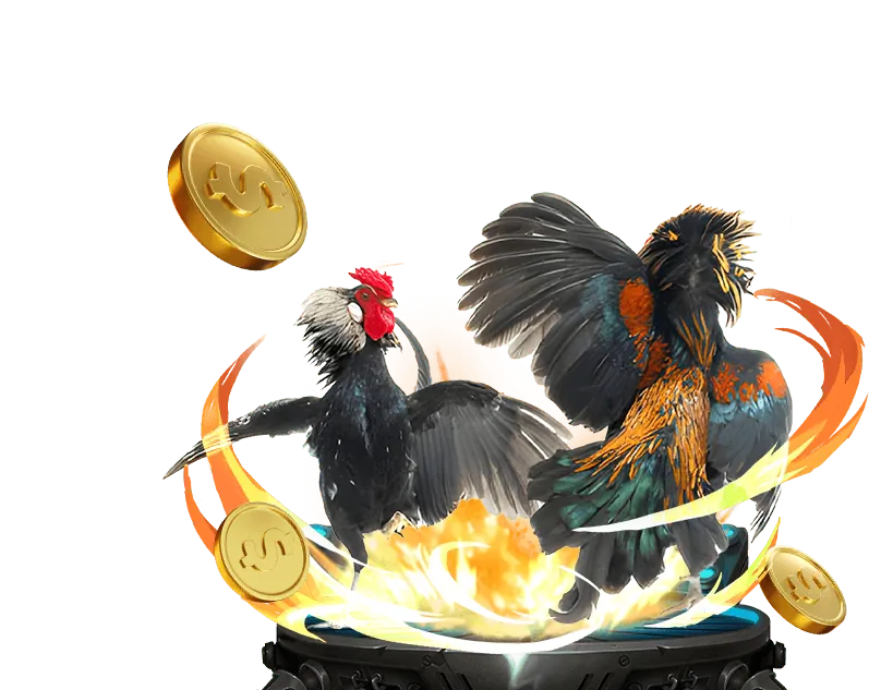 Trò chơi Đá Gà tại ku the thao